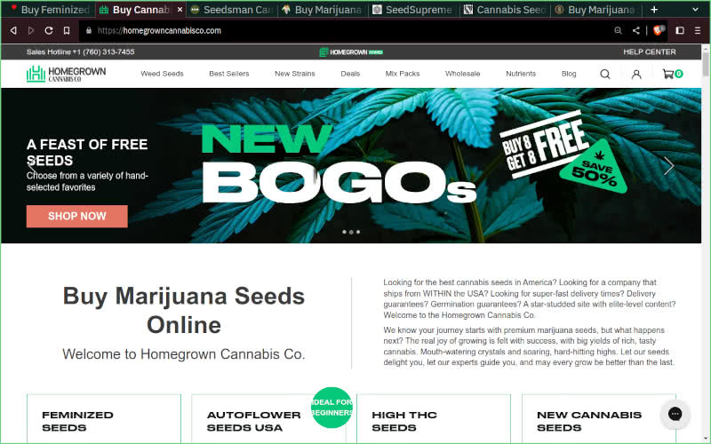 Homegrown Cannabis Co website seed bank review