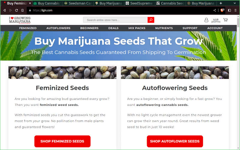 ILGM seed bank website review