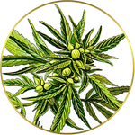 abundant life seeds logo