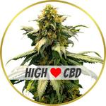 Harlequin Feminized Seeds for sale USA