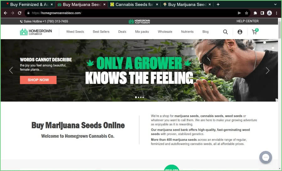 Homegrown Cannabis Co. Review